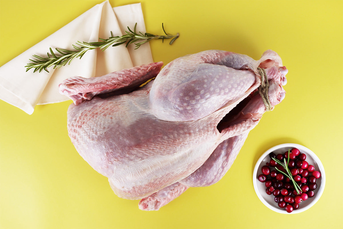 Rohe, geflügelte Pute mit zusammengebundenen Beinen, daneben ein Zweig Rosmarin, weiße Serviette und Schale mit roten Cranberries auf gelbem Untergrund.