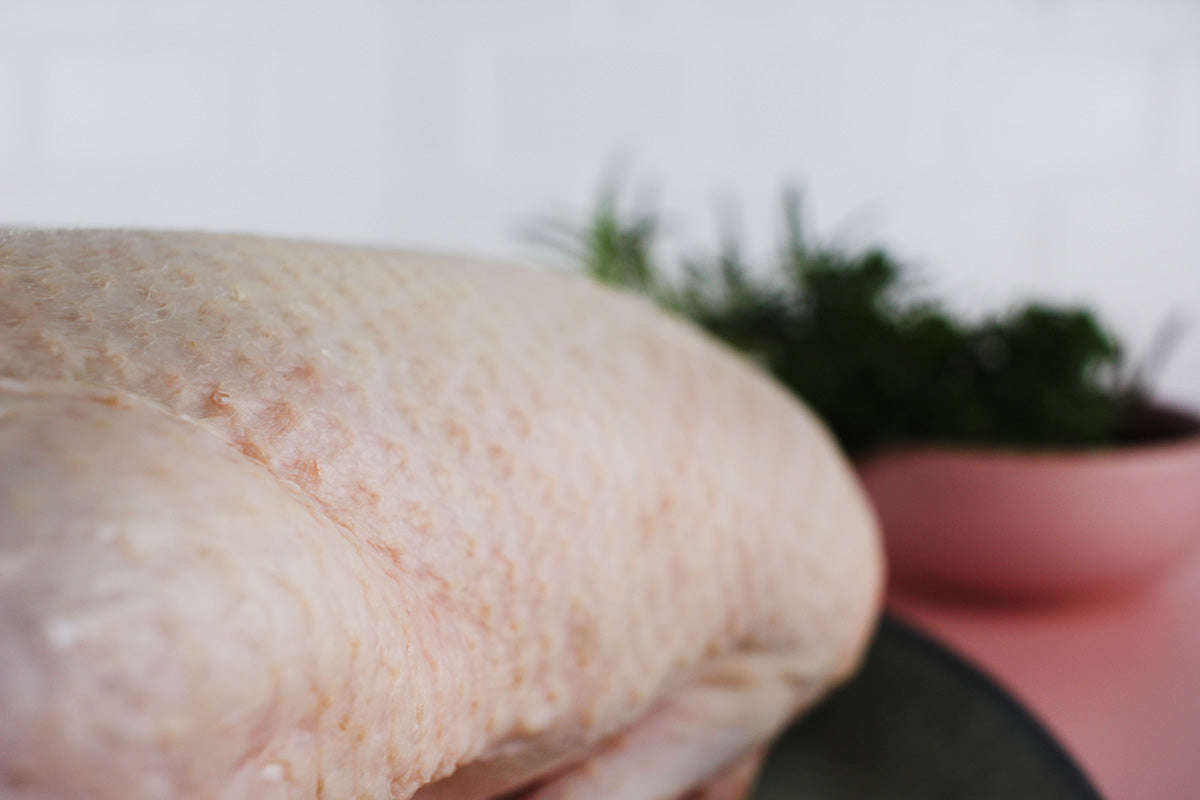 Nahaufnahme einer unzubereiteten Barbarie-Ente mit sichtbarer Hautstruktur auf einem Teller.