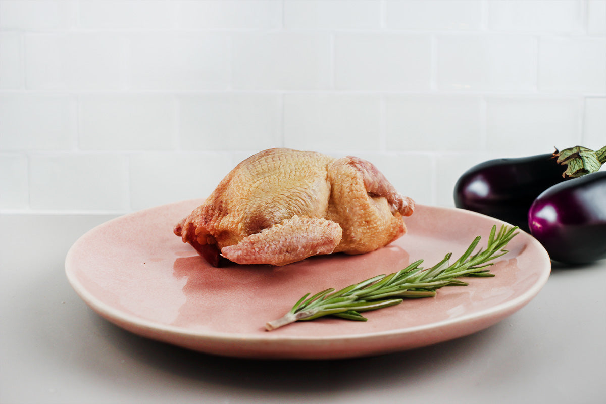 Gefrorenes ganzes Huhn auf einem rosa Teller mit einem Rosmarinzweig daneben und zwei Auberginen im Hintergrund