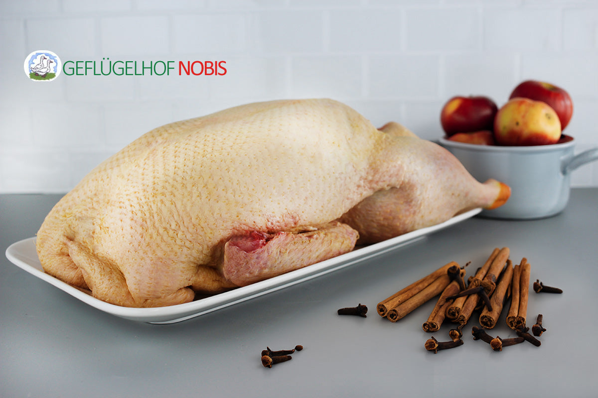 frische ente aufbewahren Norddeutsche Nobis Ente kaufen