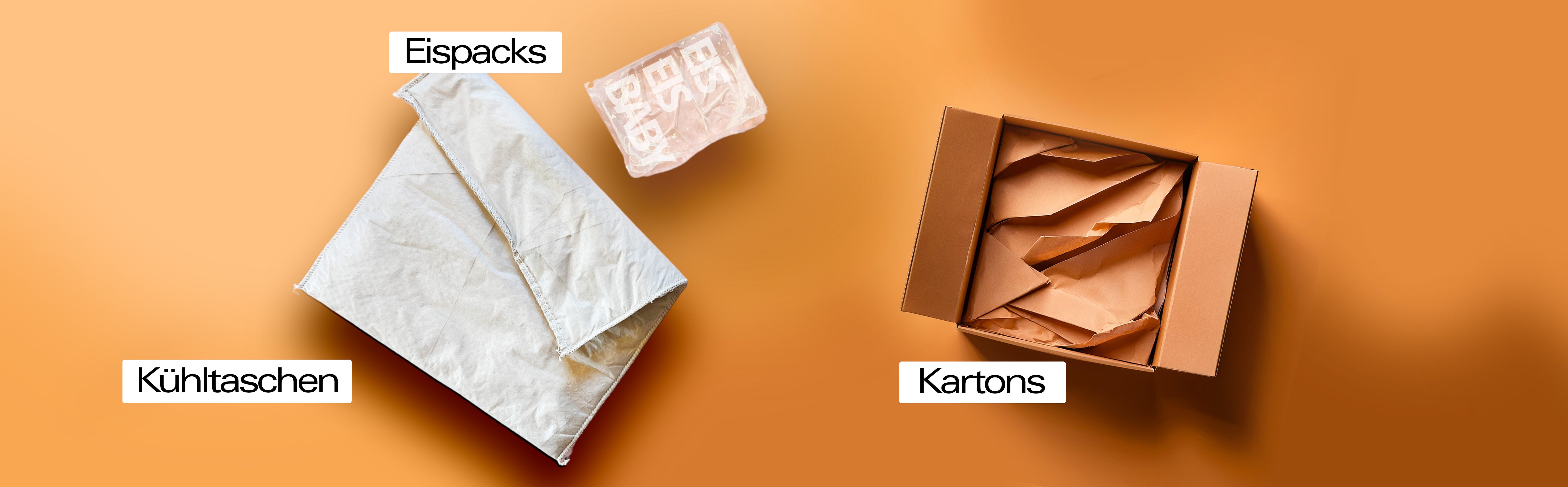 Weiße Kühltasche, transparente Eispacks und ein offener brauner Karton auf orangefarbenem Hintergrund