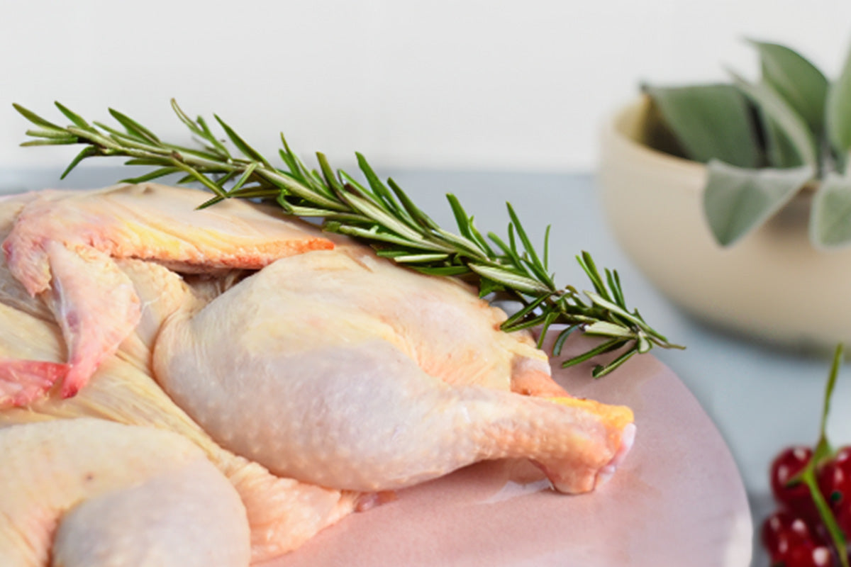 Rohe Stubenküken auf einem Teller mit einem Zweig frischem Rosmarin darauf, unscharfer Hintergrund mit einer Pflanze und roten Beeren