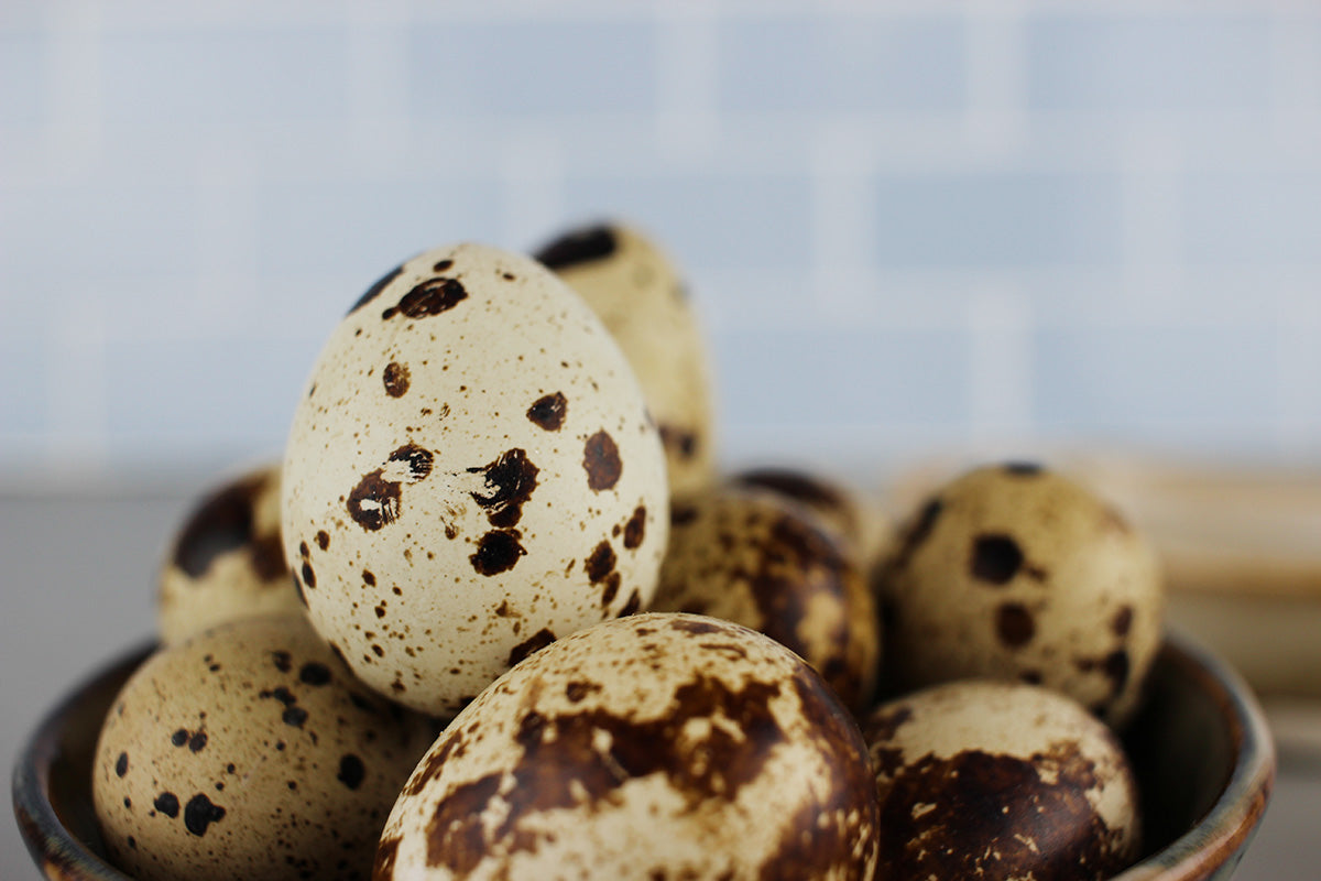 Mehrere braun gefleckte Wachteleier in einer Schale vor einem unscharfen Hintergrund
