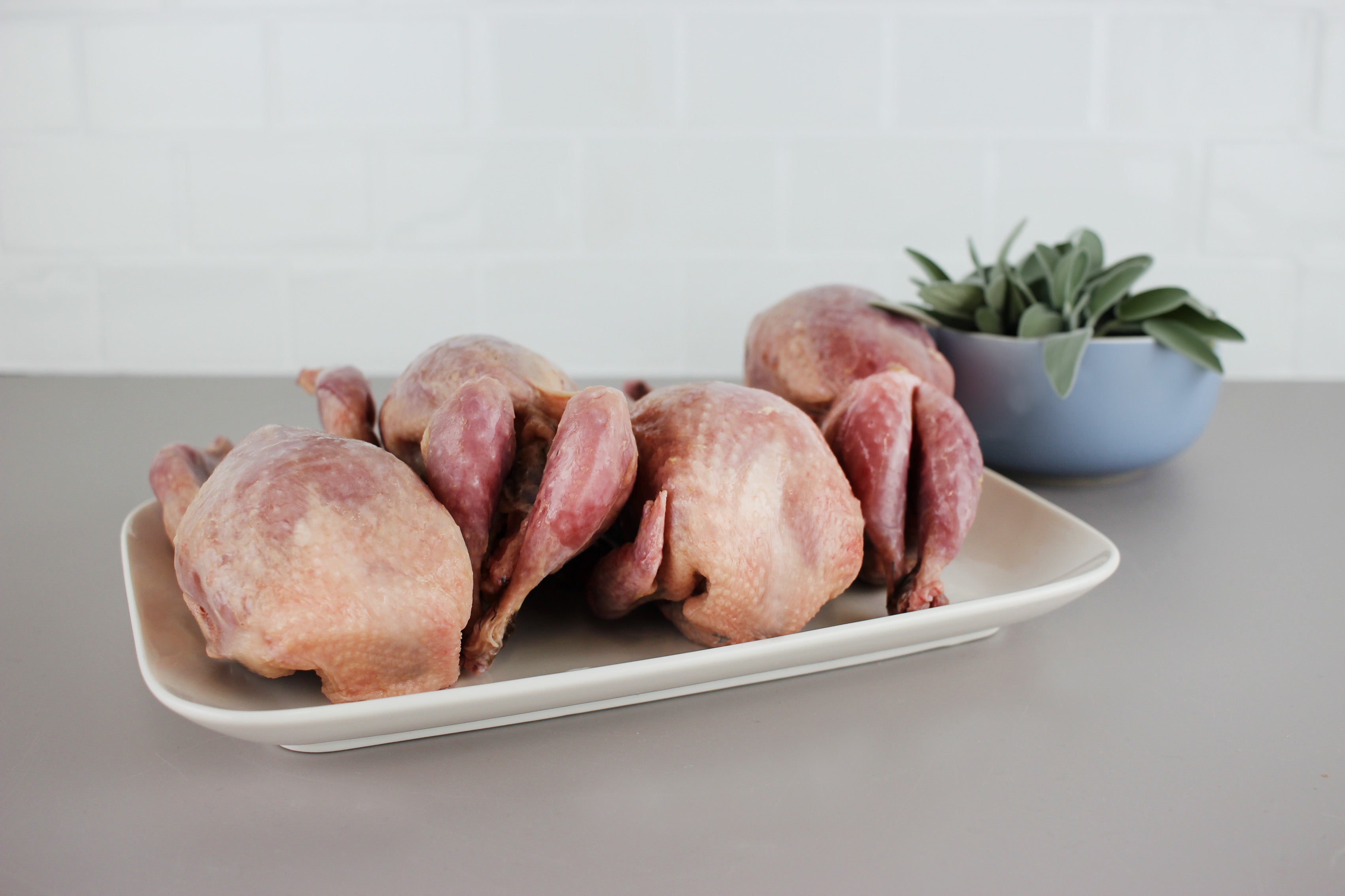 Vier rohe Wachteln auf einem weißen rechteckigen Teller, im Hintergrund eine blaue Schale mit frischen grünen Kräutern