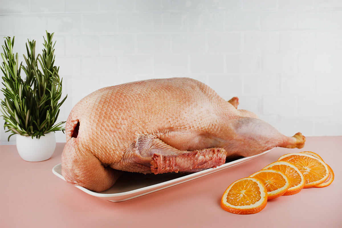 Ungekochte Gans auf weißem Teller mit Orangenscheiben und einem Topf mit Rosmarin im Hintergrund