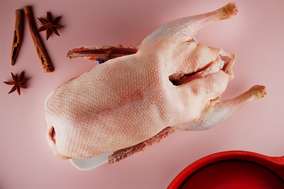 Ausgestopfte Gans mit hellem Gefieder liegt auf rosa Untergrund, daneben Zimtstangen, Sternanis und roter Teller.